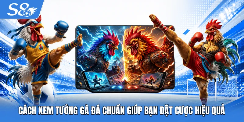 Cách xem tướng gà đá